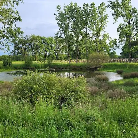 La Ferme Des Cosses La Bussière